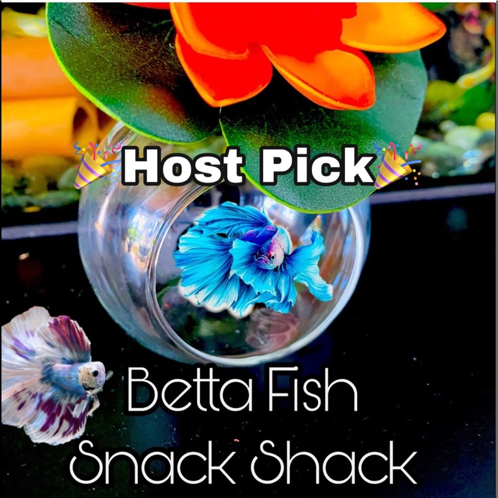 🔥Betta fish feeding house. No more messy tanks.